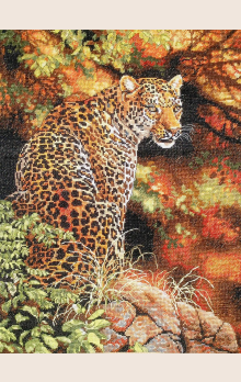 pristolnii-vzglyad-leoparda