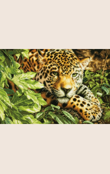 leopard-v-pokoe